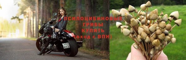 крисы Балахна